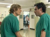 Green Wing